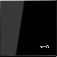 Taustiņš ar atslēgas simbolu, melns, LS990TSW JUNG