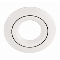 Armatura RING RDW1 downlight alluminium, color-white 1x GU10 D82 LEDURO